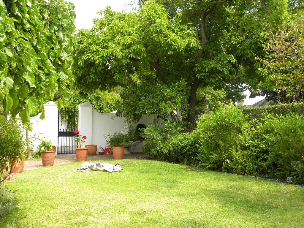 Applegarth B&B And Self-Catering Studios Cidade Do Cabo Exterior foto