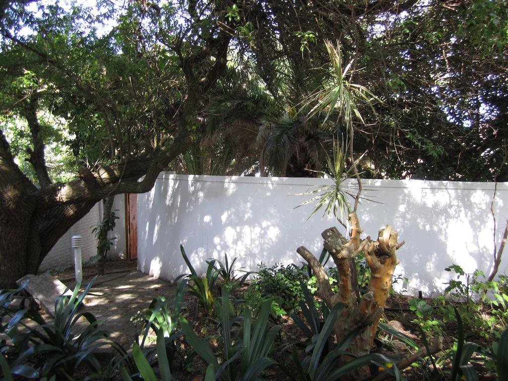 Applegarth B&B And Self-Catering Studios Cidade Do Cabo Exterior foto